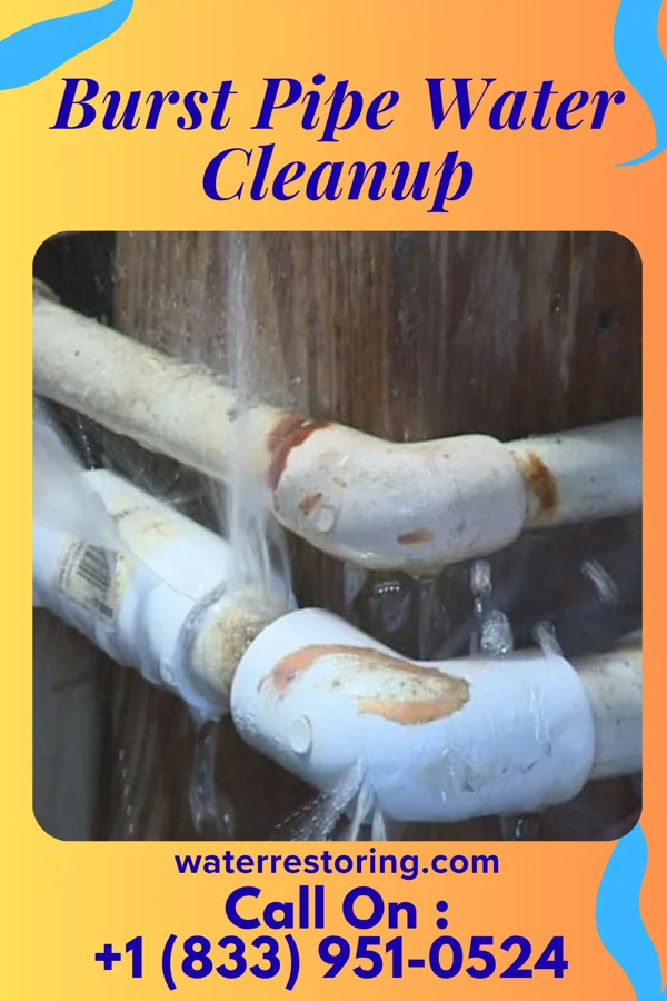 Burst Pipe Water Cleanup in Crawford, GA