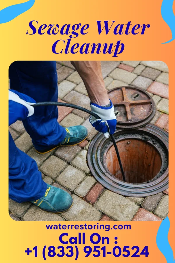 Sewage Water Cleanup in Crawford, GA